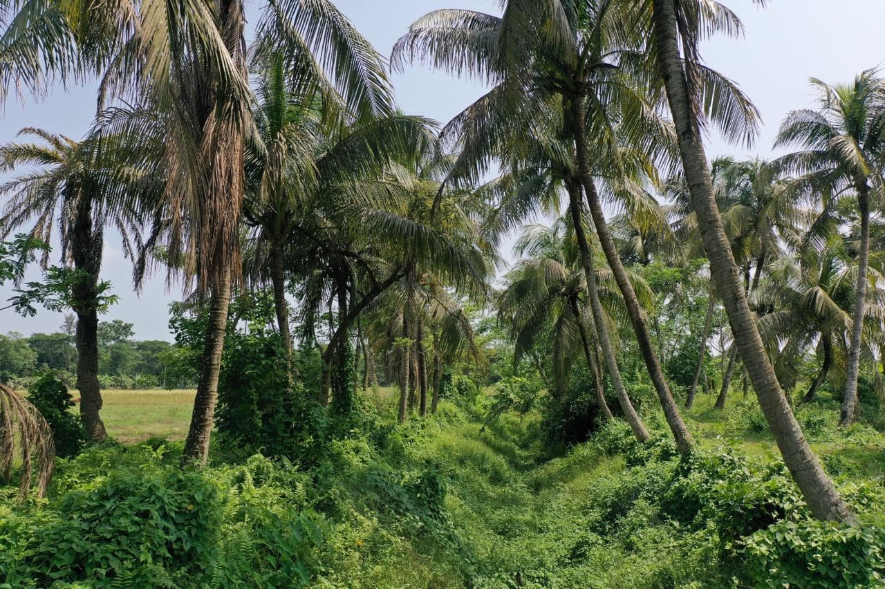 Noakhali