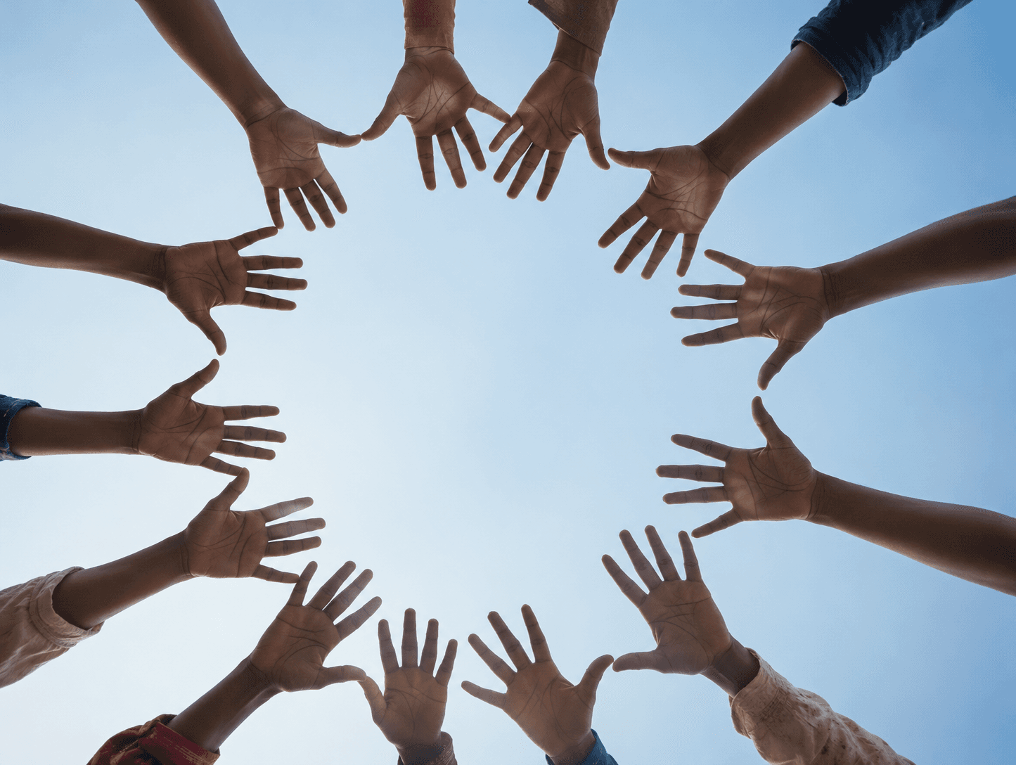 The Zariya community